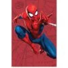 Seagate Marvel Spider-Man Special Edition FireCuda External 2TB Hard Drive -Household Appliances Store VC8FU SQ1 0000000088 NO COLOR SLf
