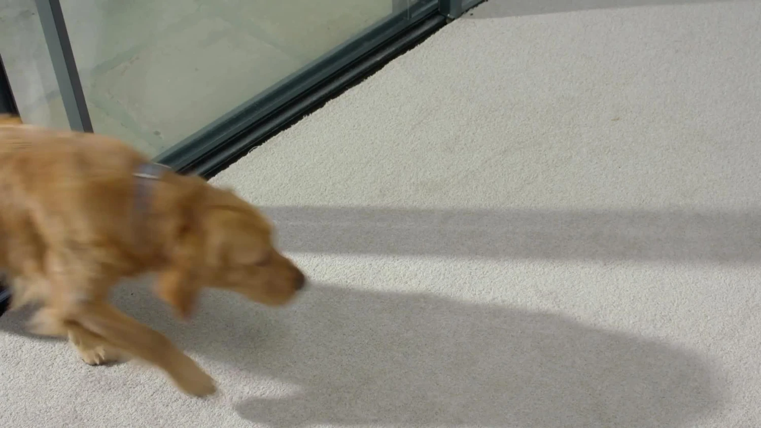 Vax Platinum SmartWash Pet-Design Carpet Cleaner 9 Vax Platinum SmartWash Pet-Design Carpet Cleaner - Image 7